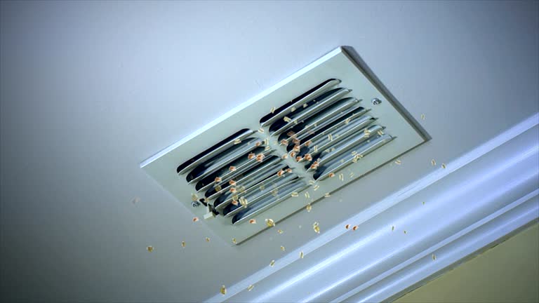 Reliable Callaway, MD Airduct Cleaning Solutions