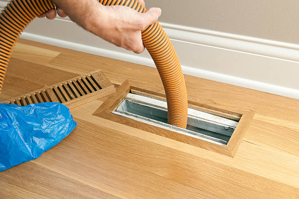 Best Professional Duct Cleaning Services  in Callaway, MD